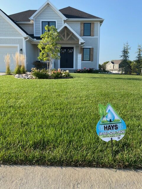 7 step – turf application program